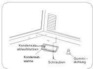 img-13.jpeg